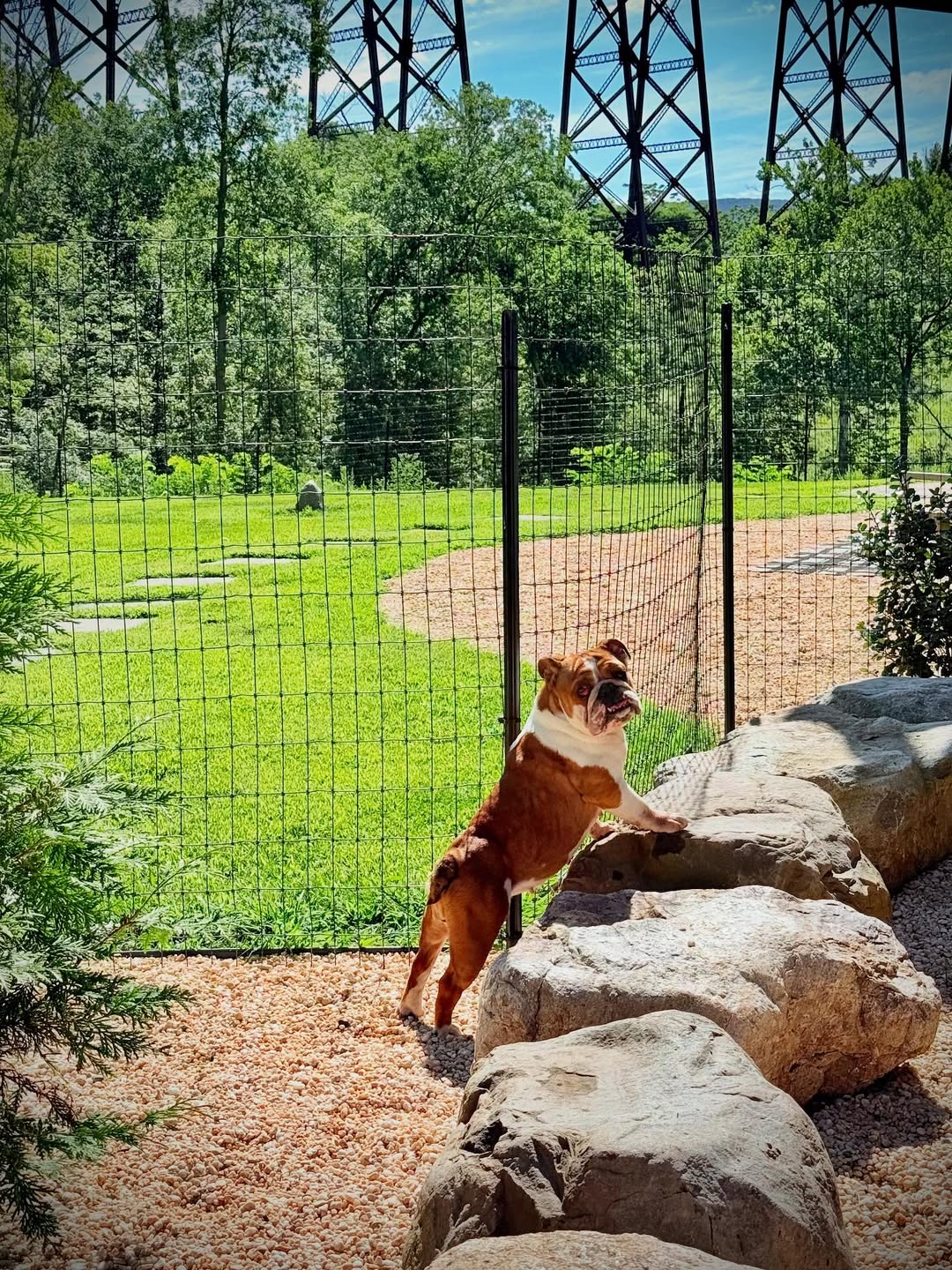 Extra image from article