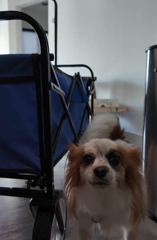 Fortunately, the tenant's health improve...