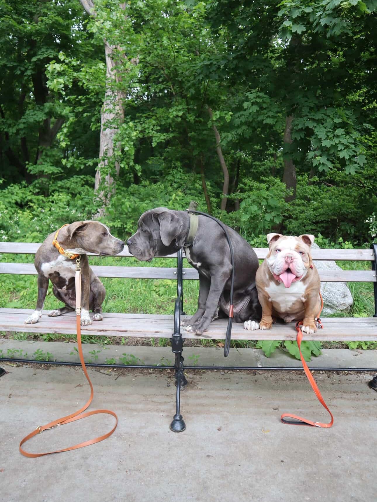 Extra image from article