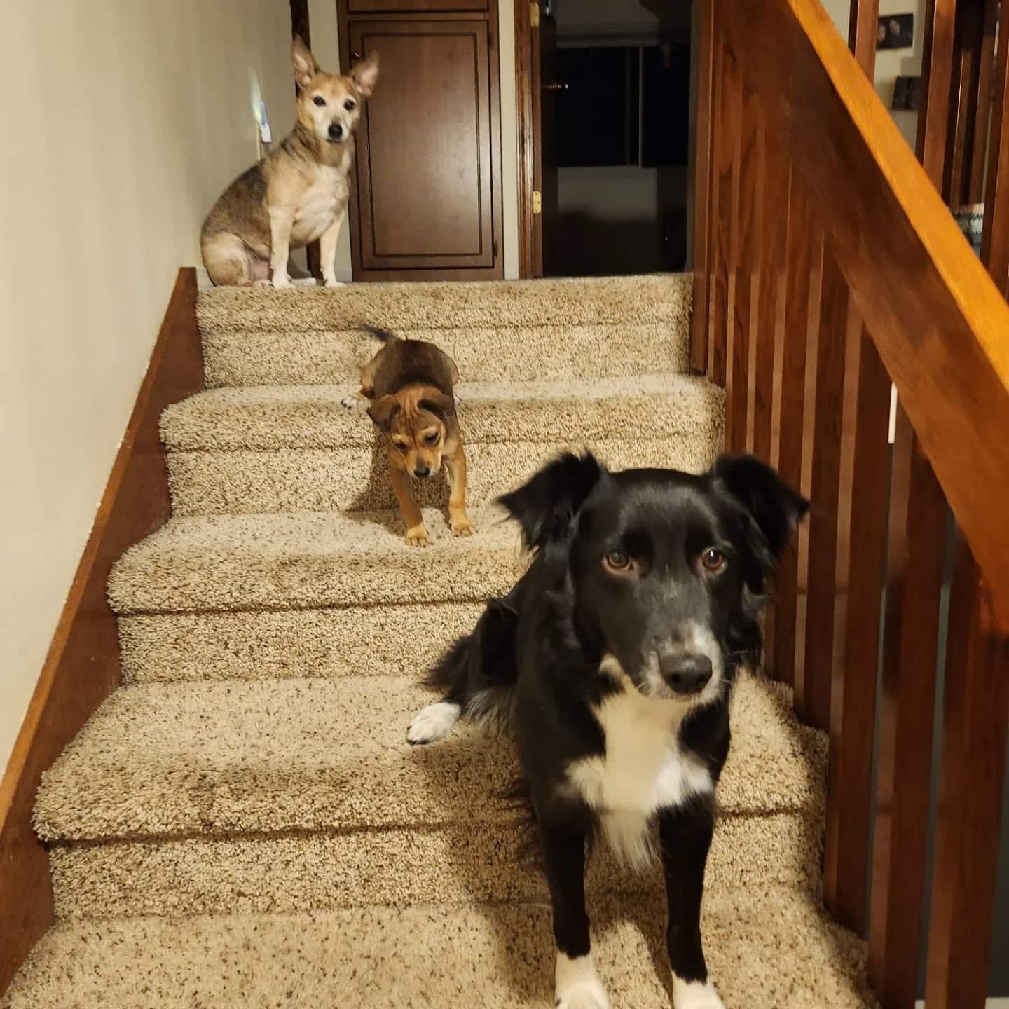 Extra image from article