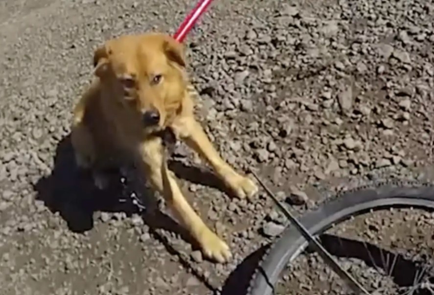 Extra image from article