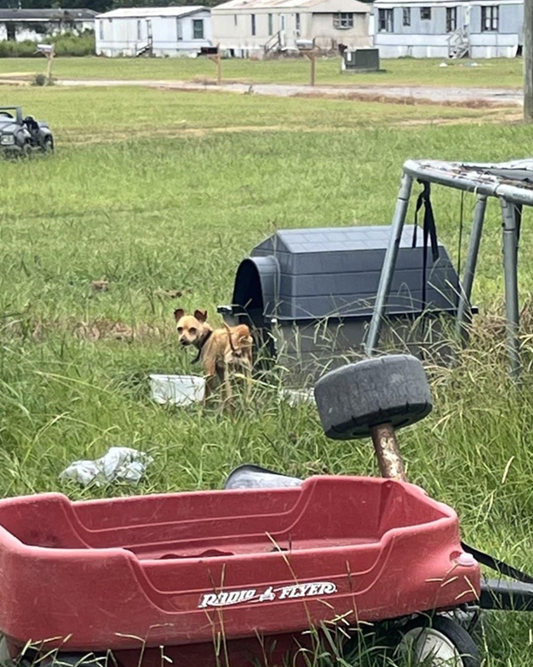 Five months later, the team met Chico ag...