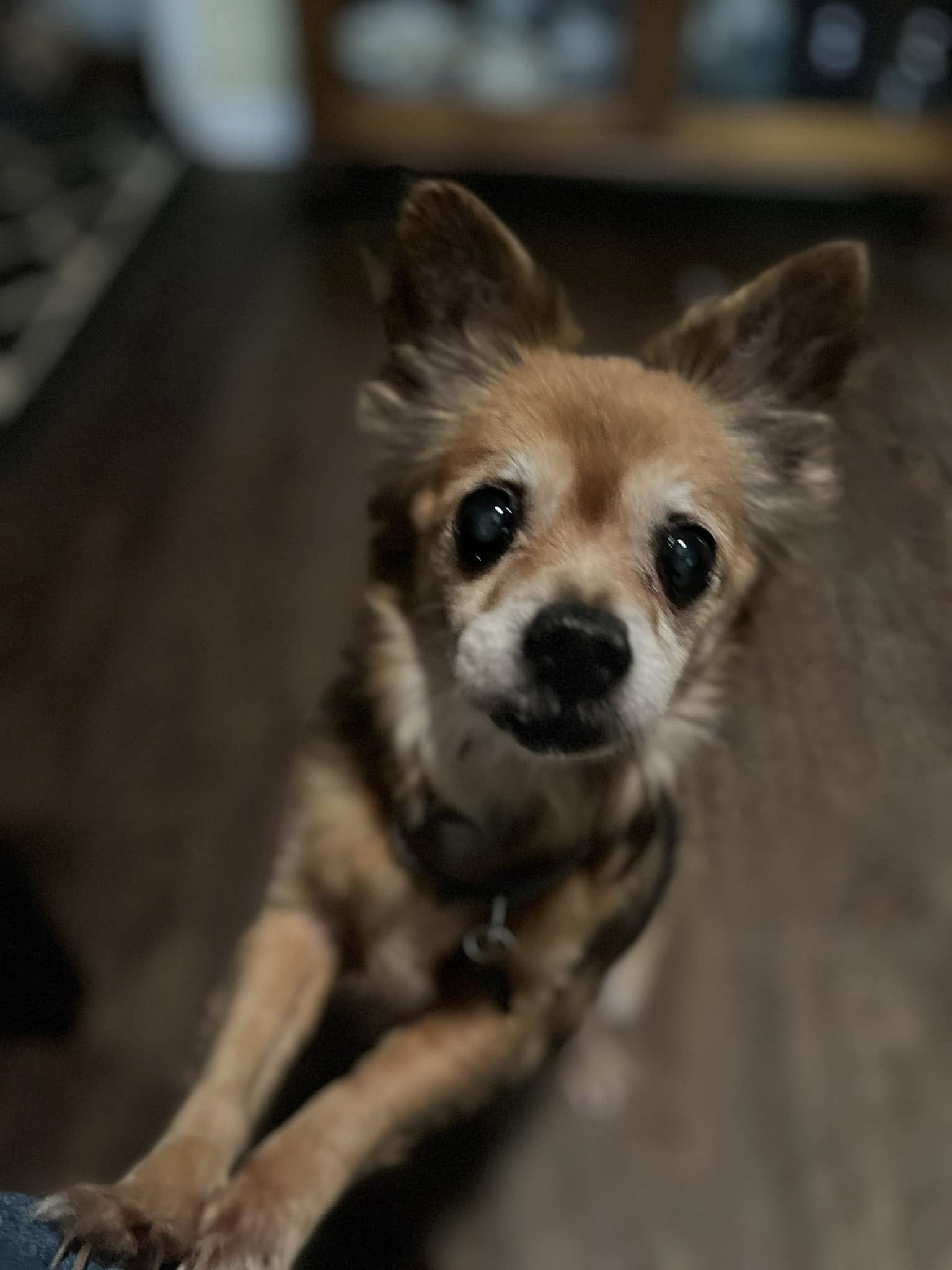 Extra image from article