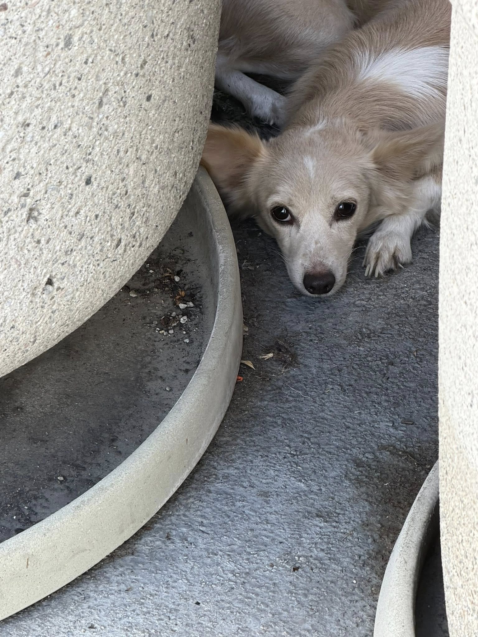 Extra image from article