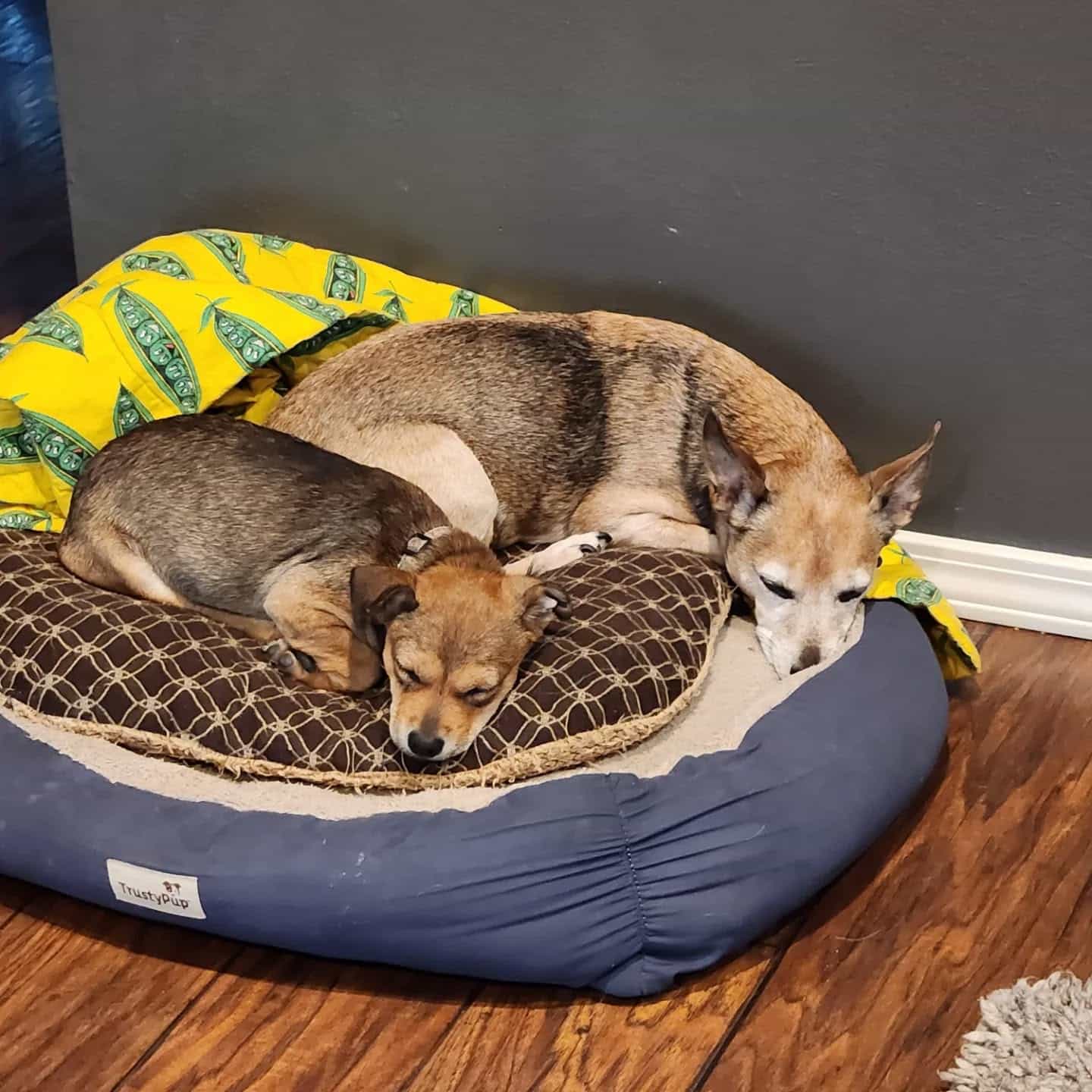 Extra image from article