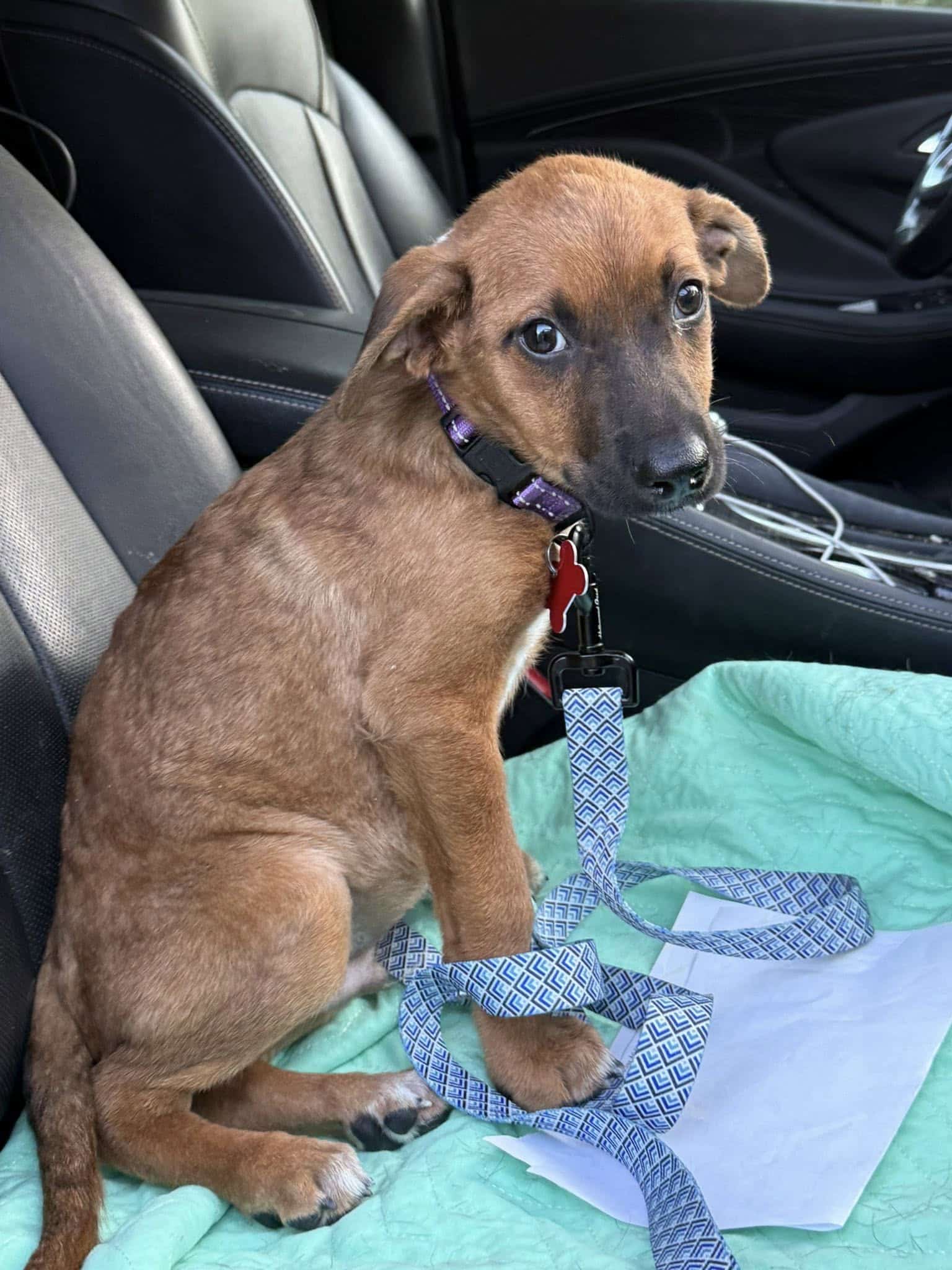 Extra image from article