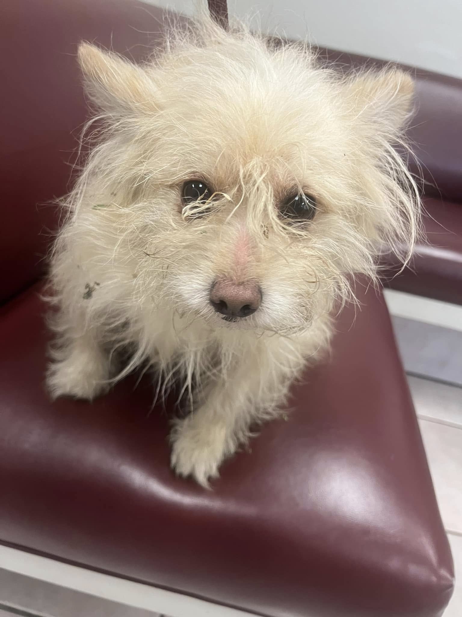 Extra image from article