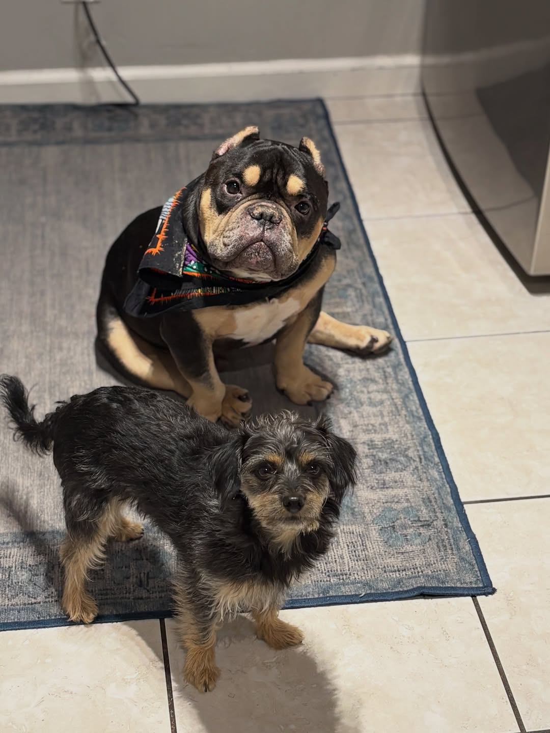 Extra image from article