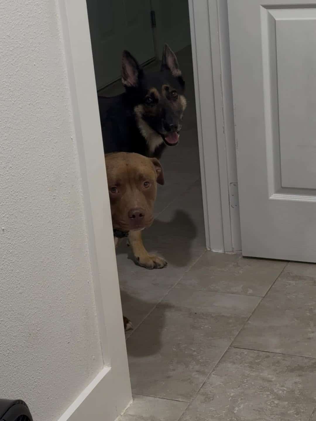 Extra image from article