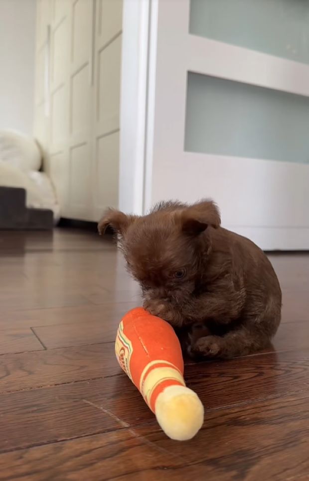 Extra image from article