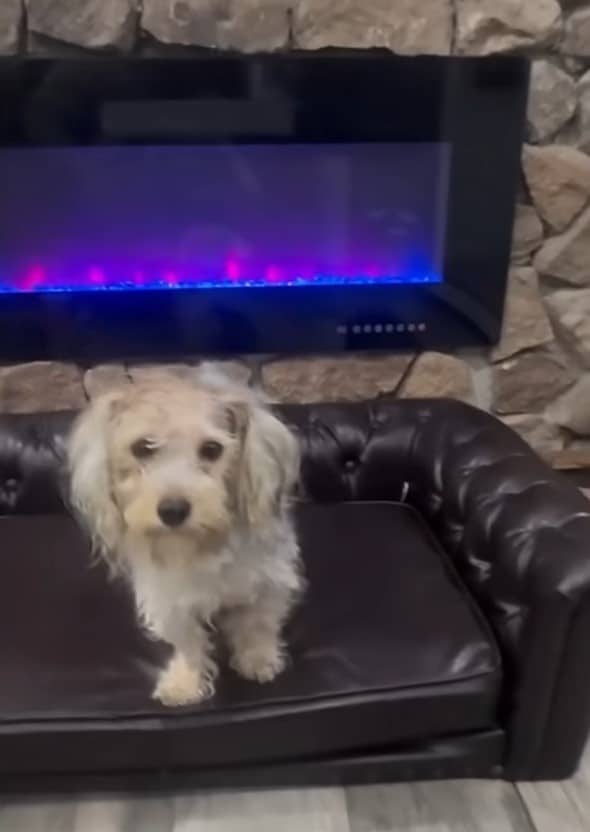 Extra image from article