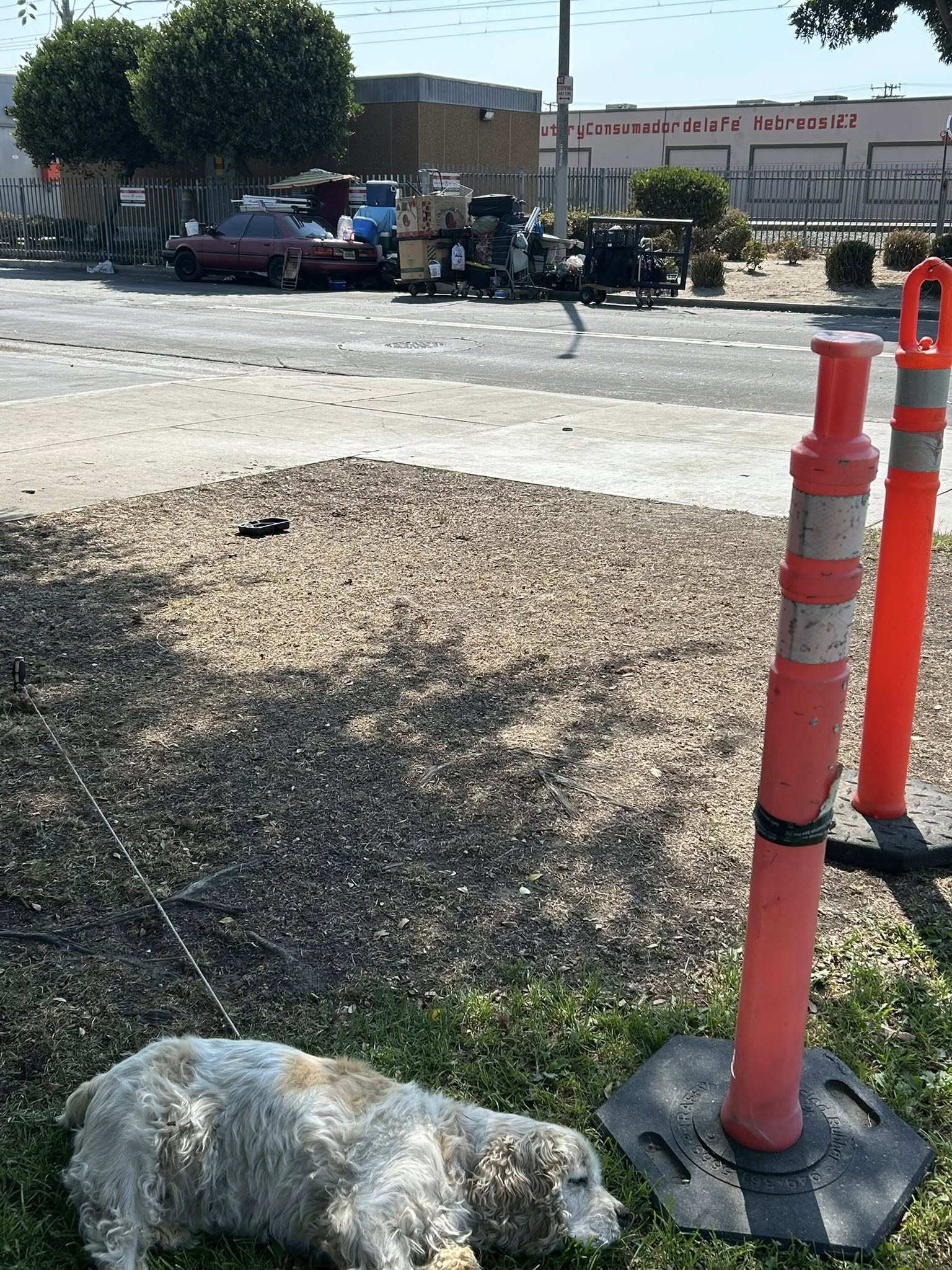 “I cannot, I will not, turn away from hi...