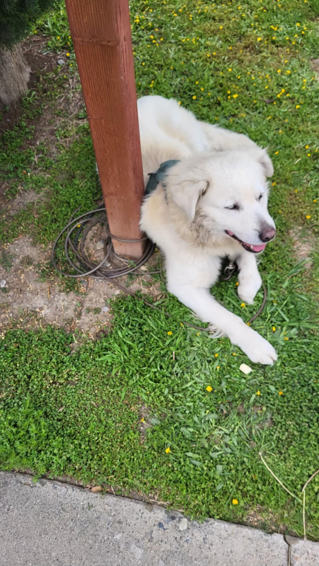 Those involved believed Hercules deserve...