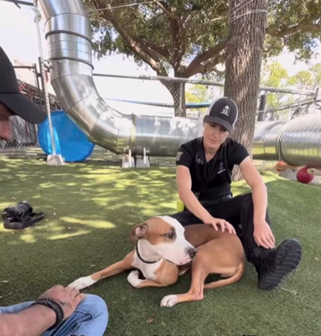 Extra image from article