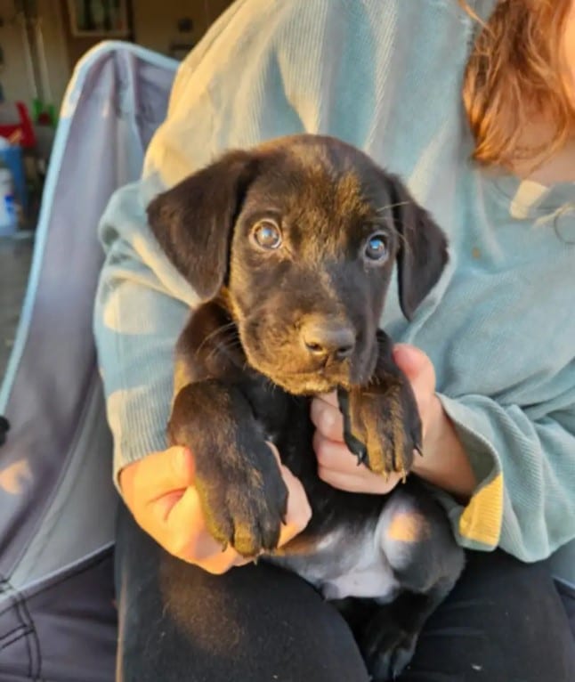 Extra image from article