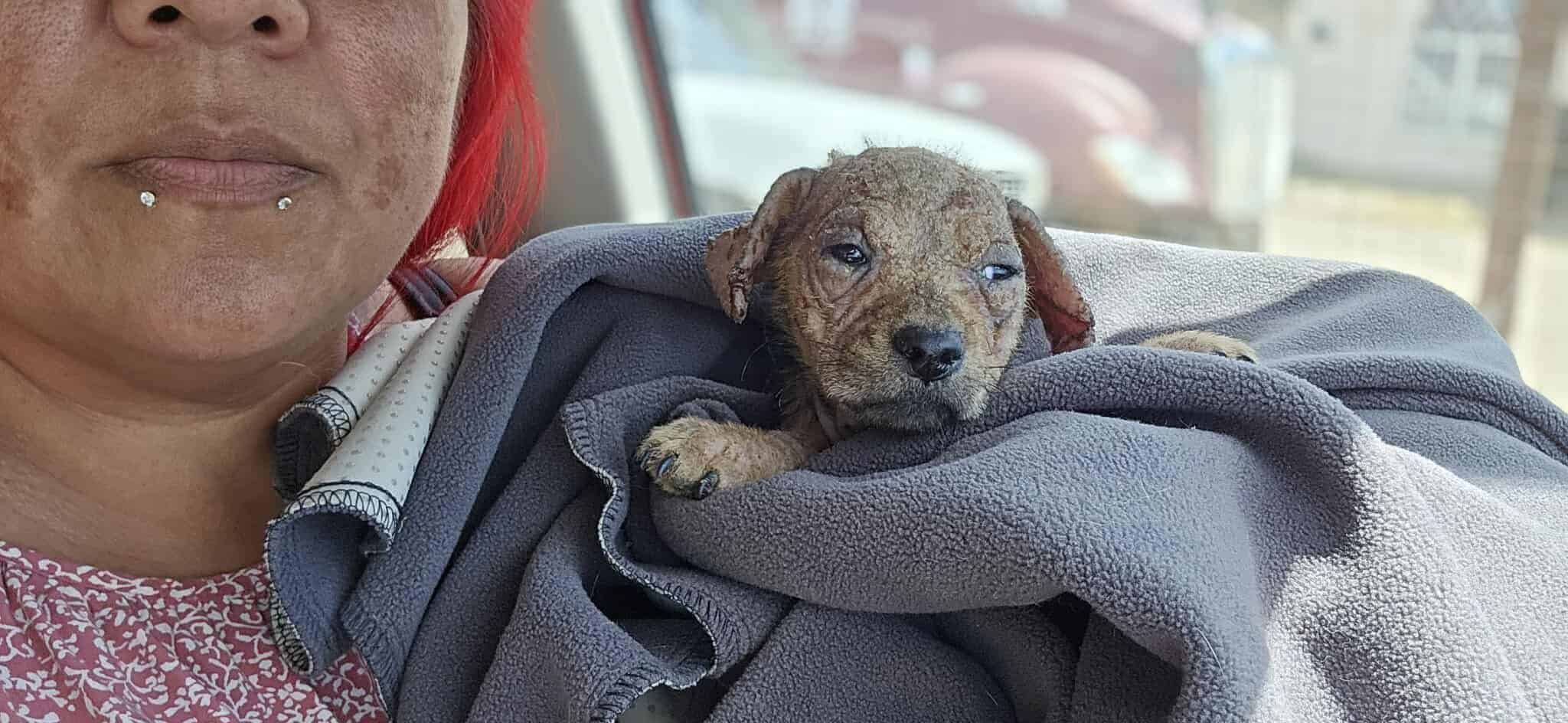 Extra image from article