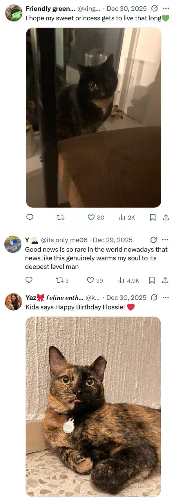 Extra image from article