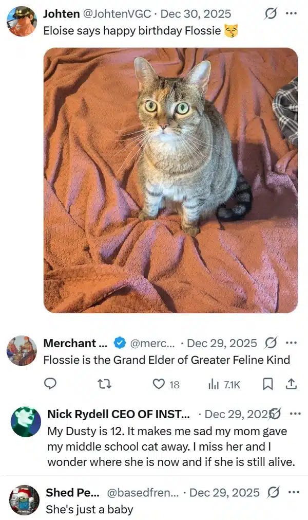 Extra image from article