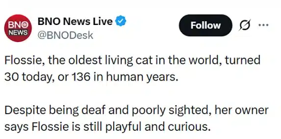 Extra image from article