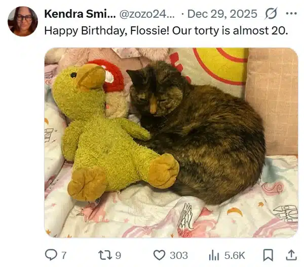 Extra image from article