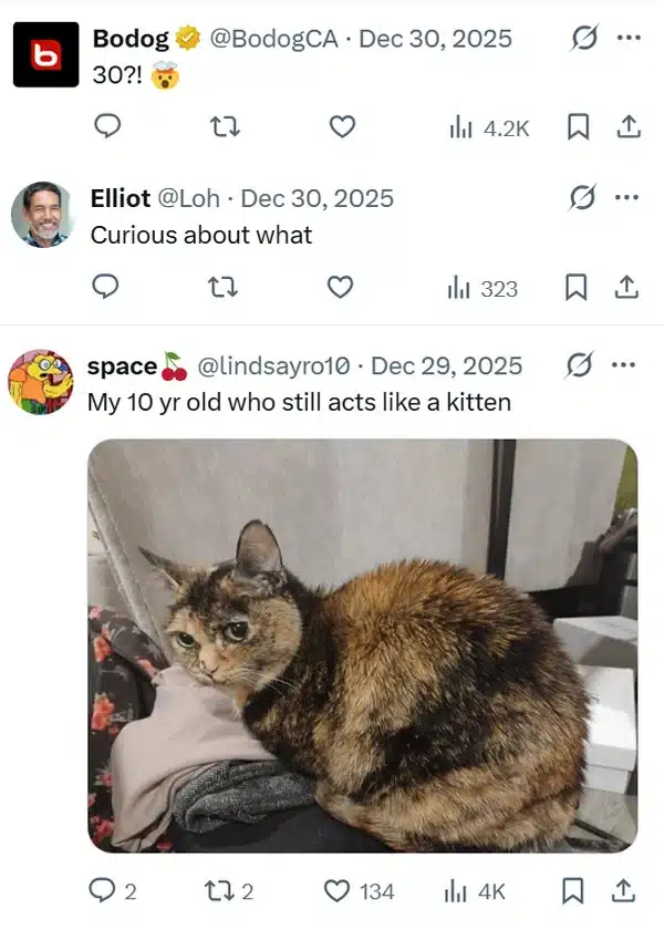 Extra image from article