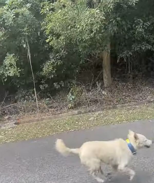 Extra image from article