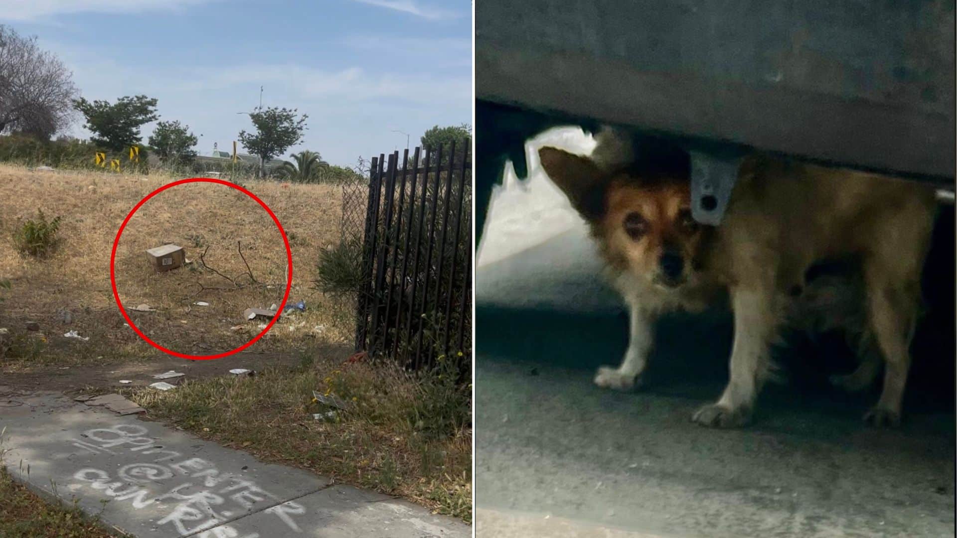 In a Facebook post, Hall shared, “The ne...