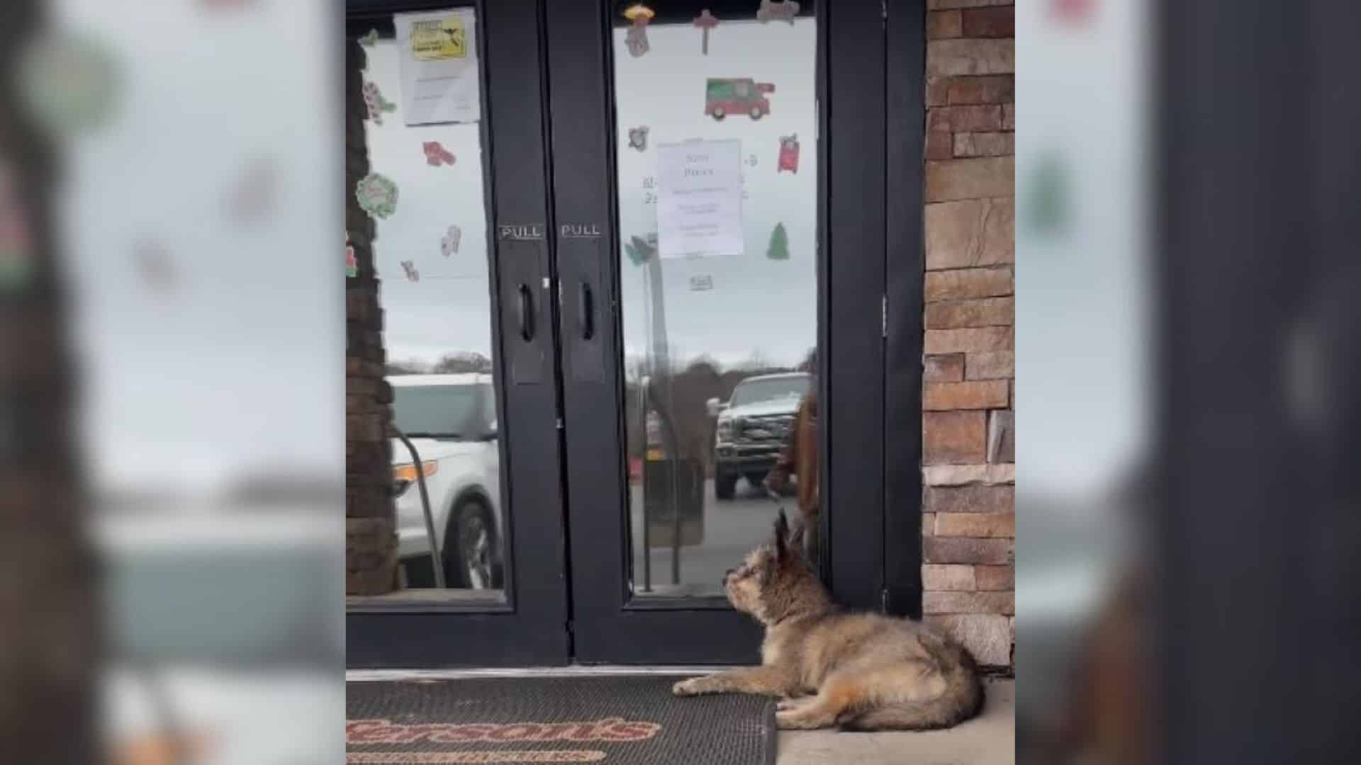 Though many diners passed by, the dog, l...