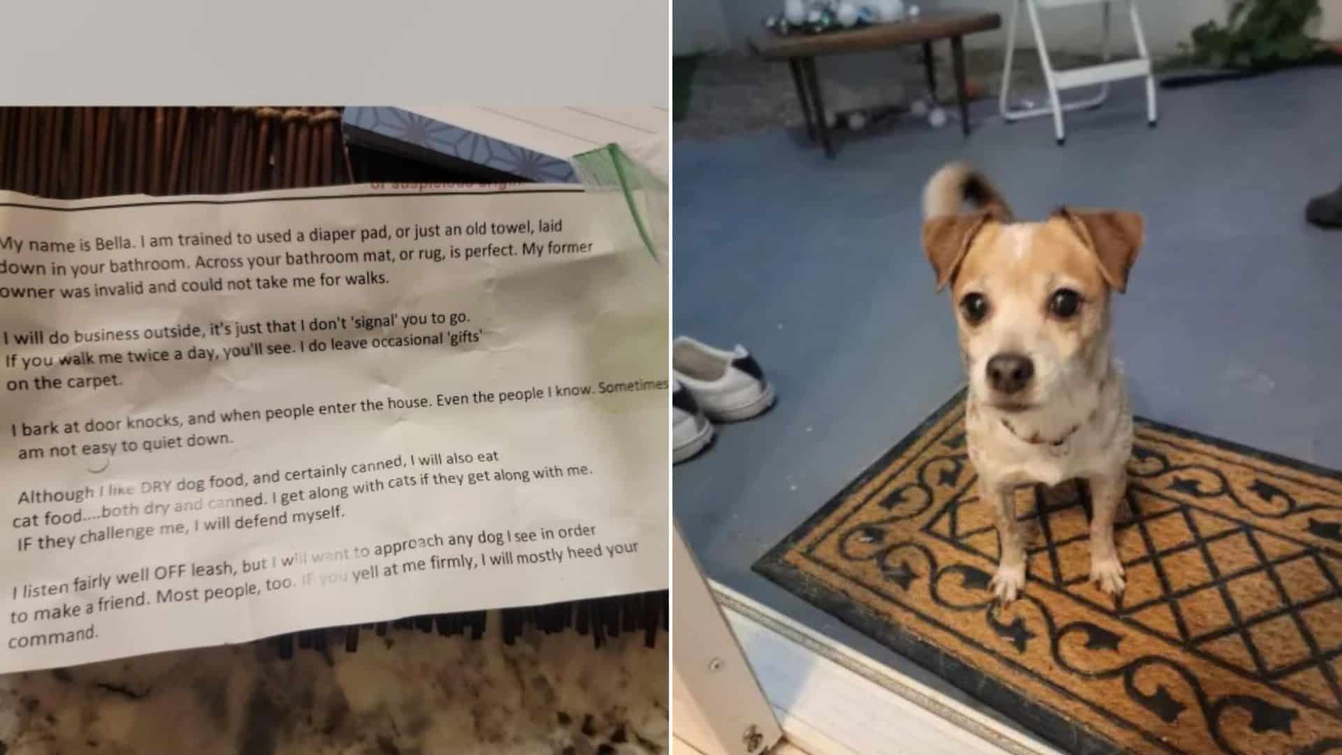 The pup appeared frightened and unsure o...