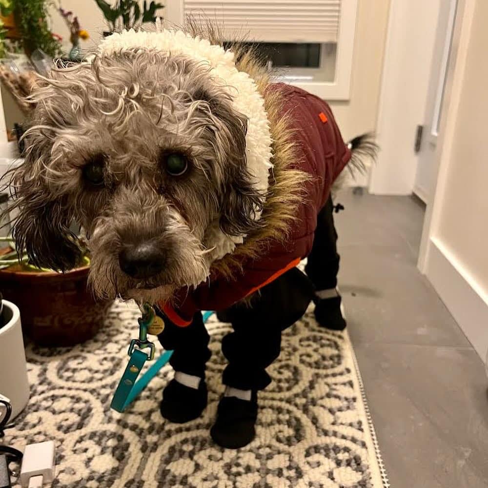 Extra image from article