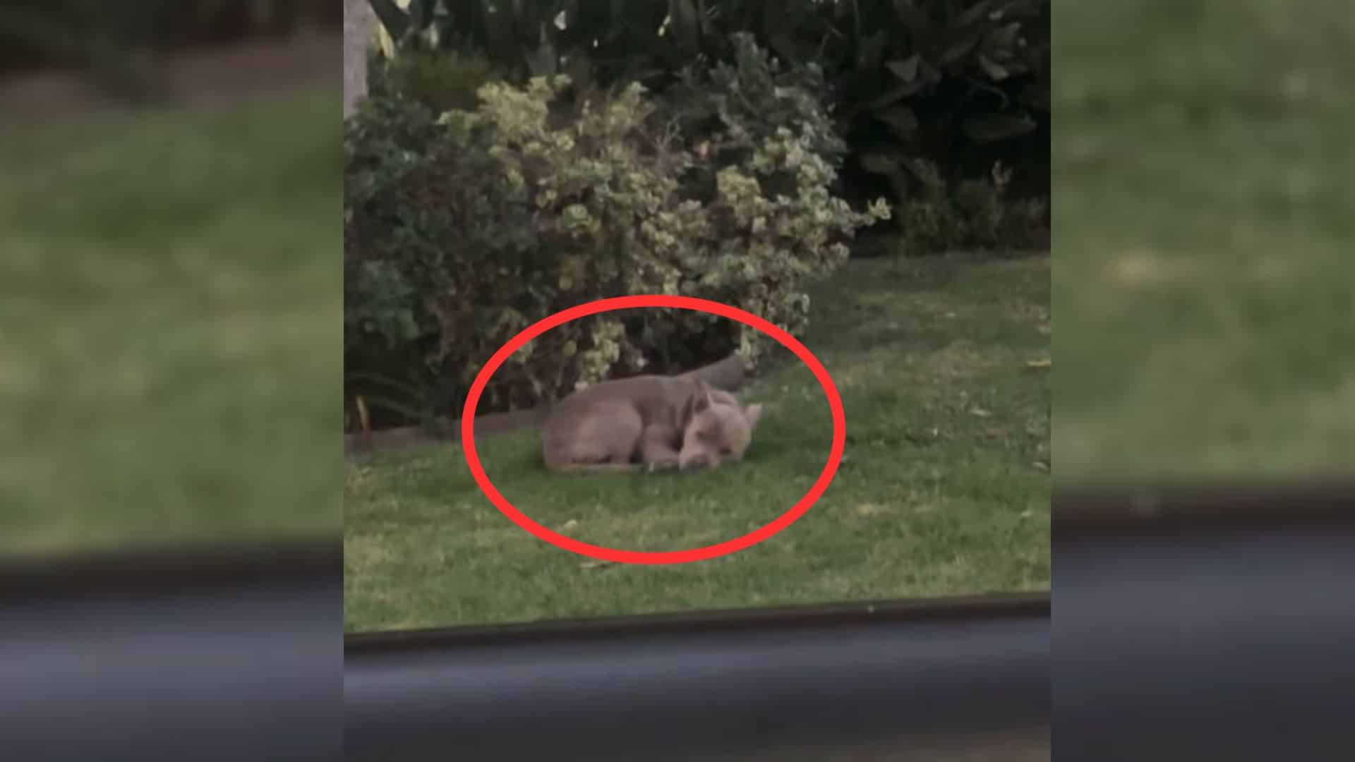 Workers in a nearby industrial area in S...