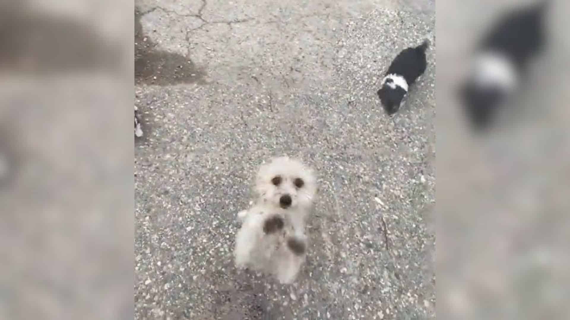 This heartwarming story shines a light o...