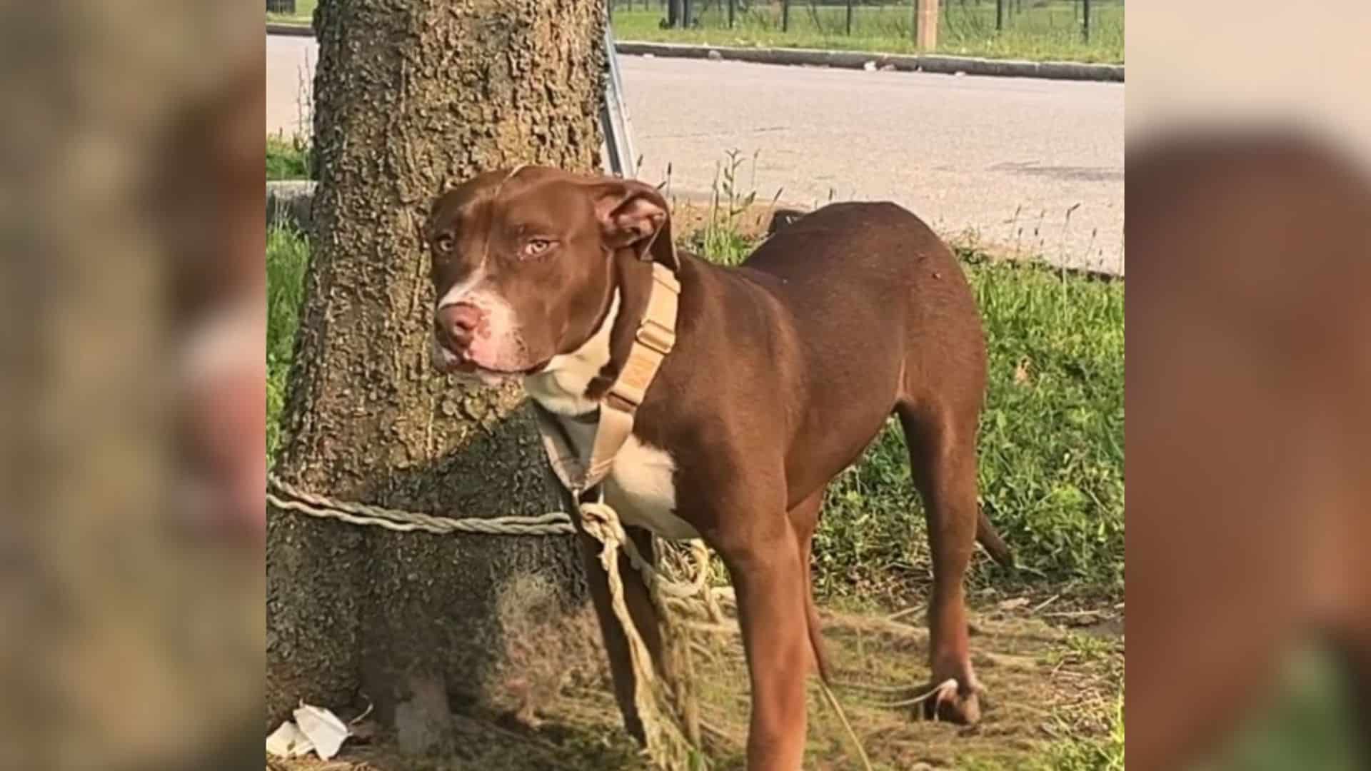 This unfortunate scenario happened to a ...