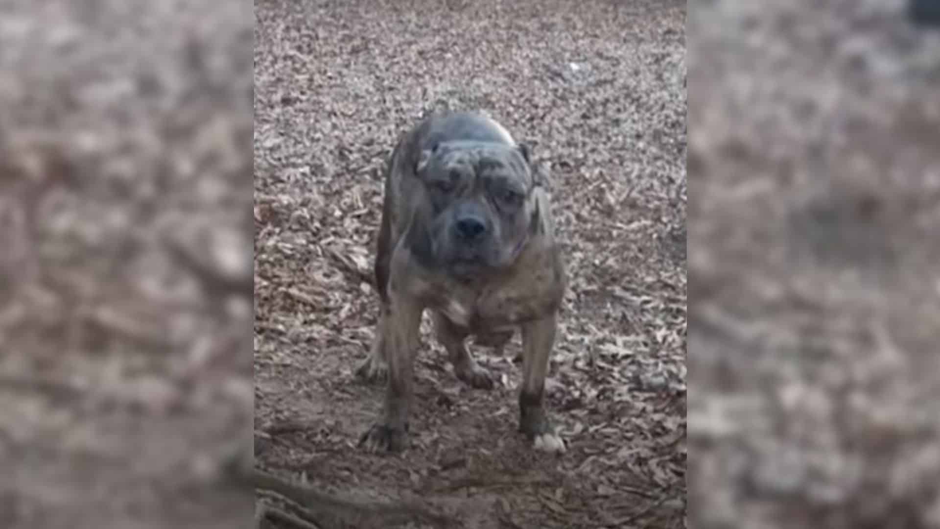 Occasionally, there are rare cases where...