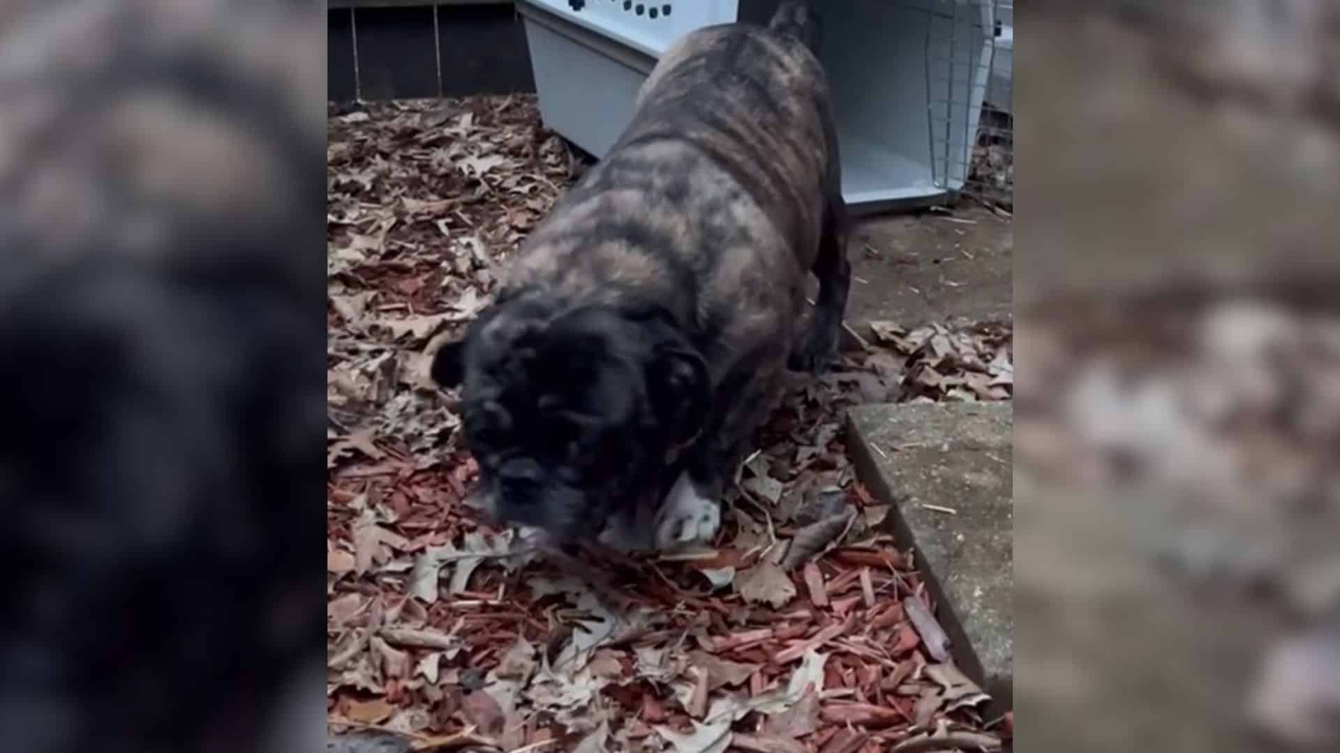 Her journey took a heartwarming turn whe...