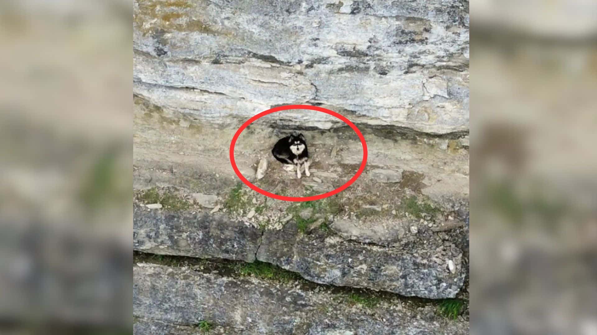 Initially unsure of what she had spotted...