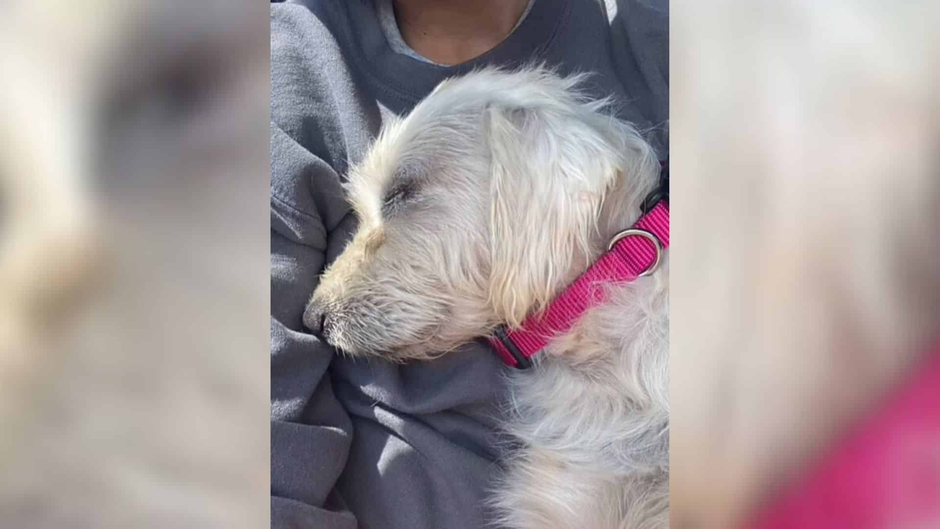 While some may overlook the significance...