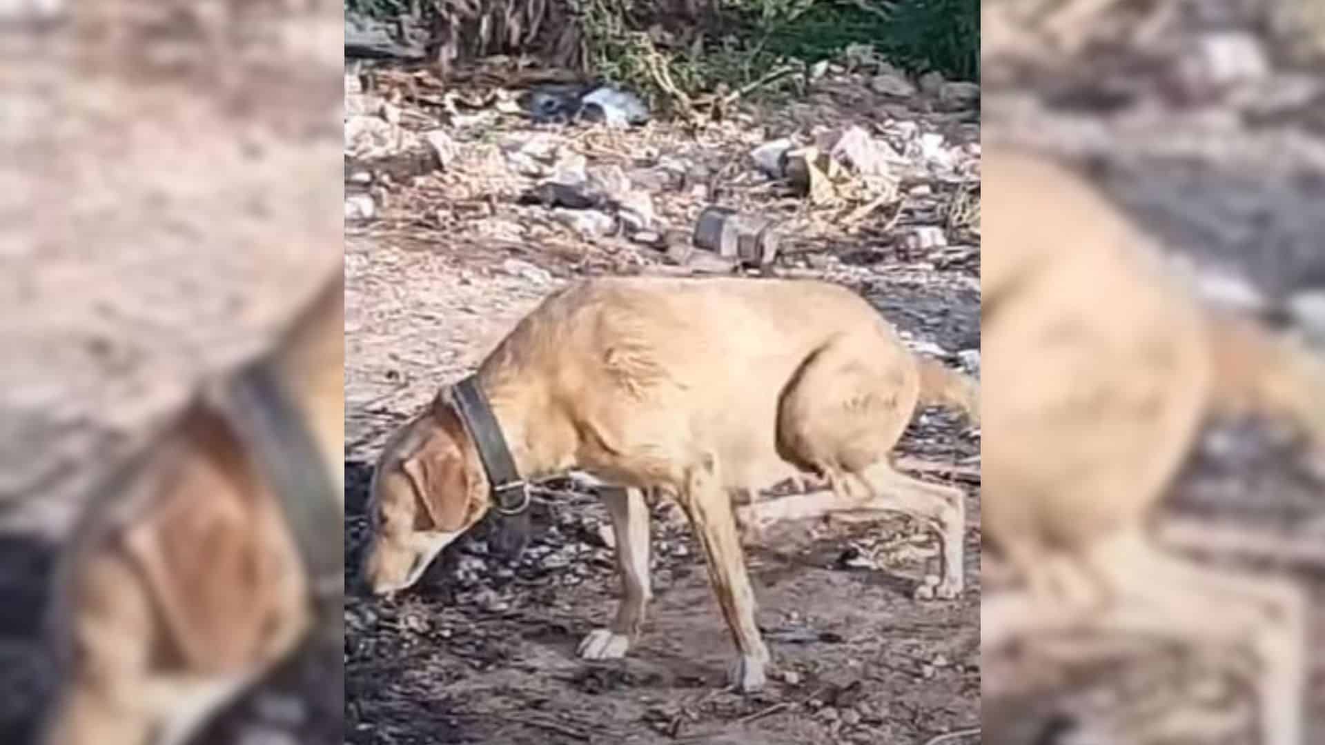 Without hesitation, the woman reached ou...