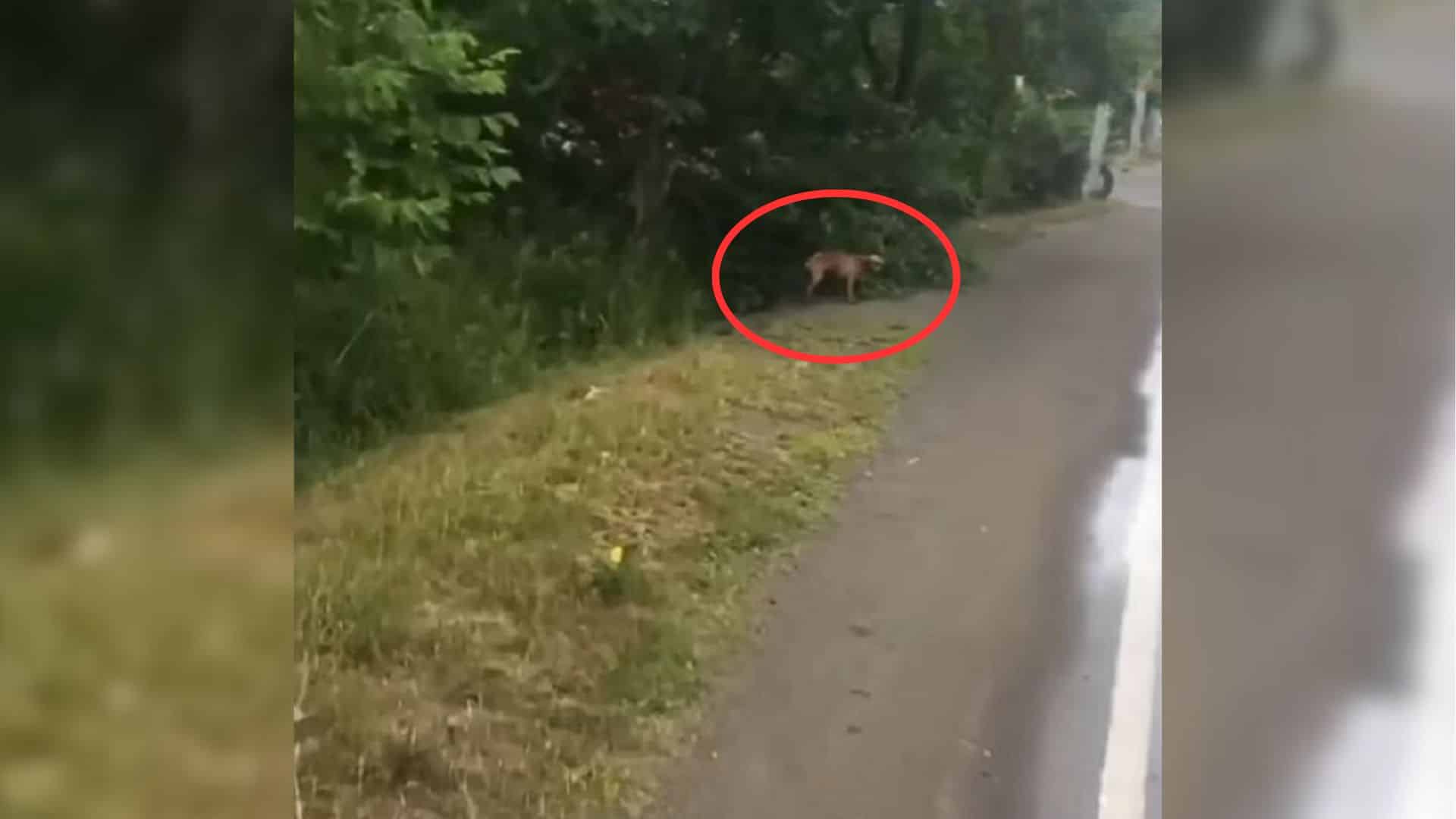 Just when things seemed bleak, a compass...