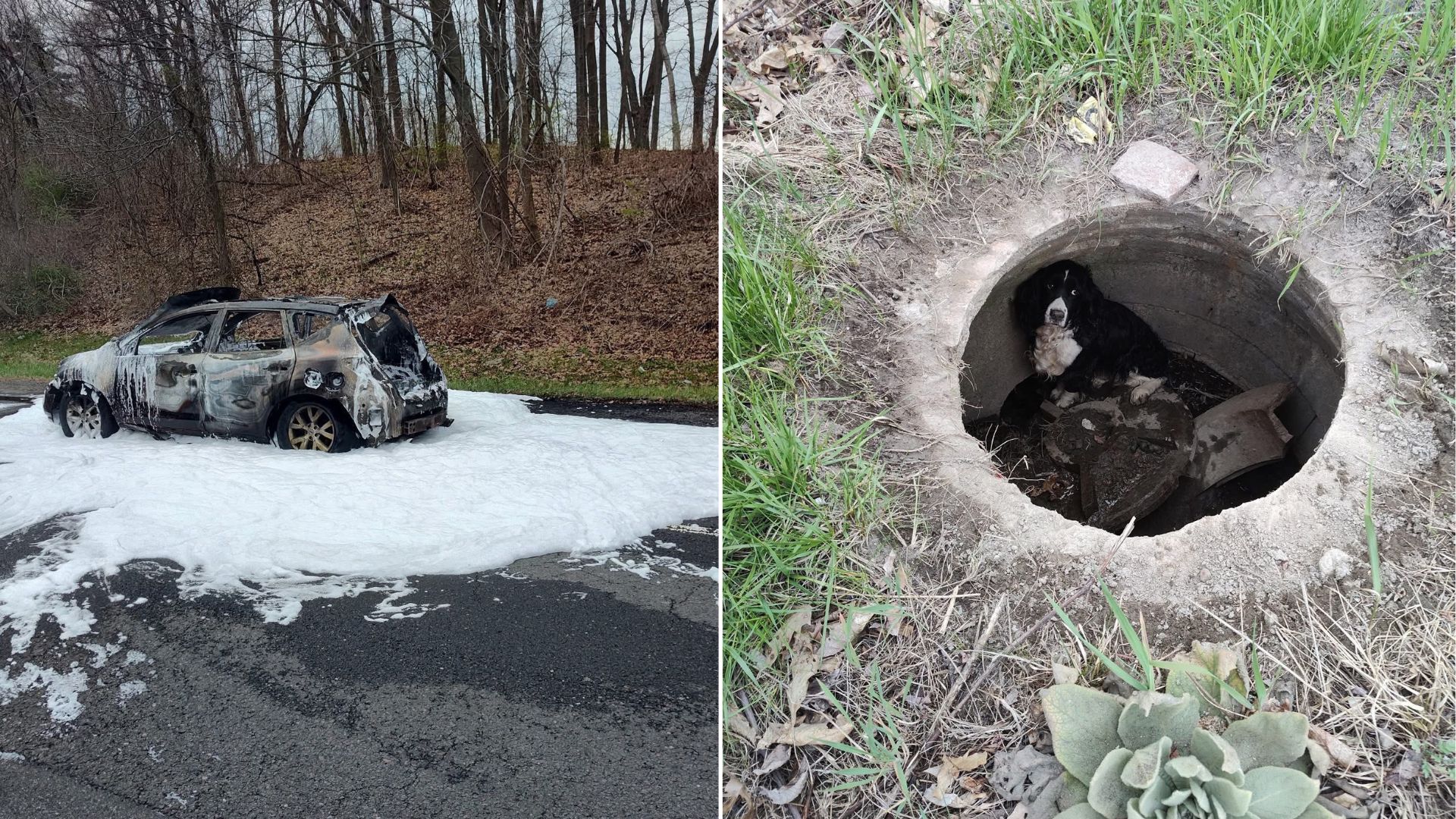 The incident unfolded in West Springfiel...