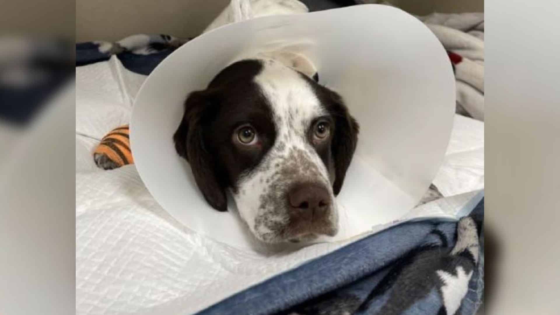 Our story today dives into a particularl...