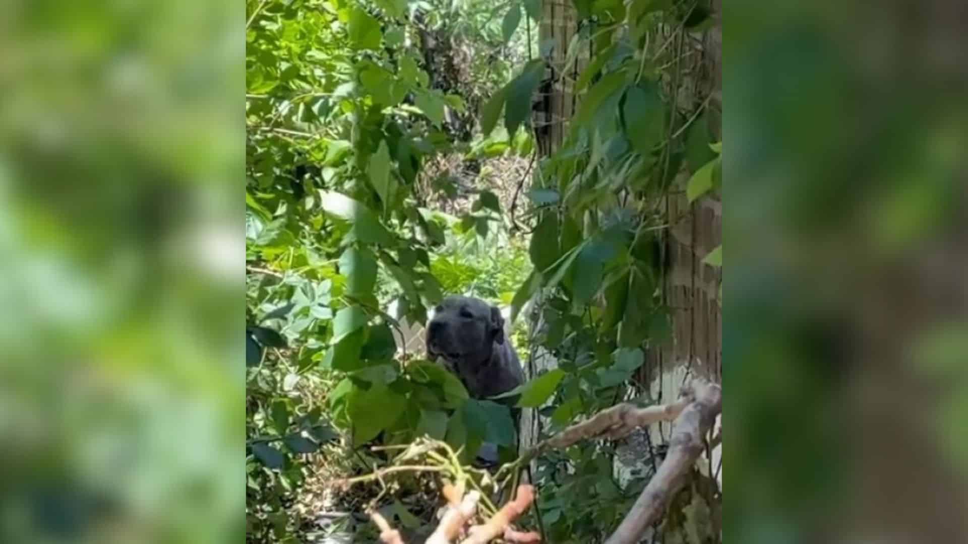 This scenario unfolded for a dedicated t...