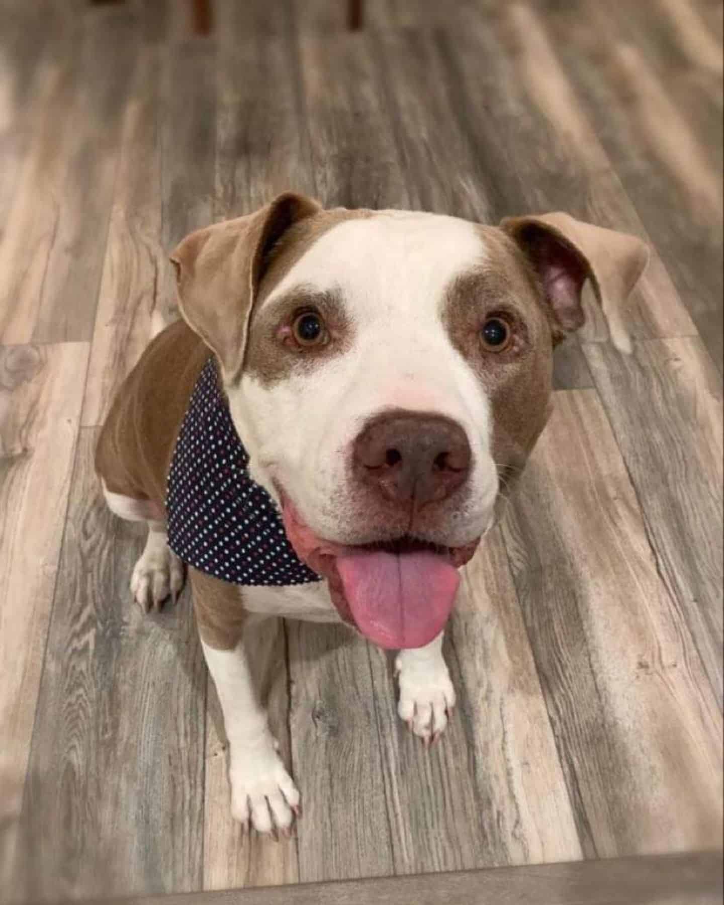 A volunteer named Mayson Jones welcomed ...