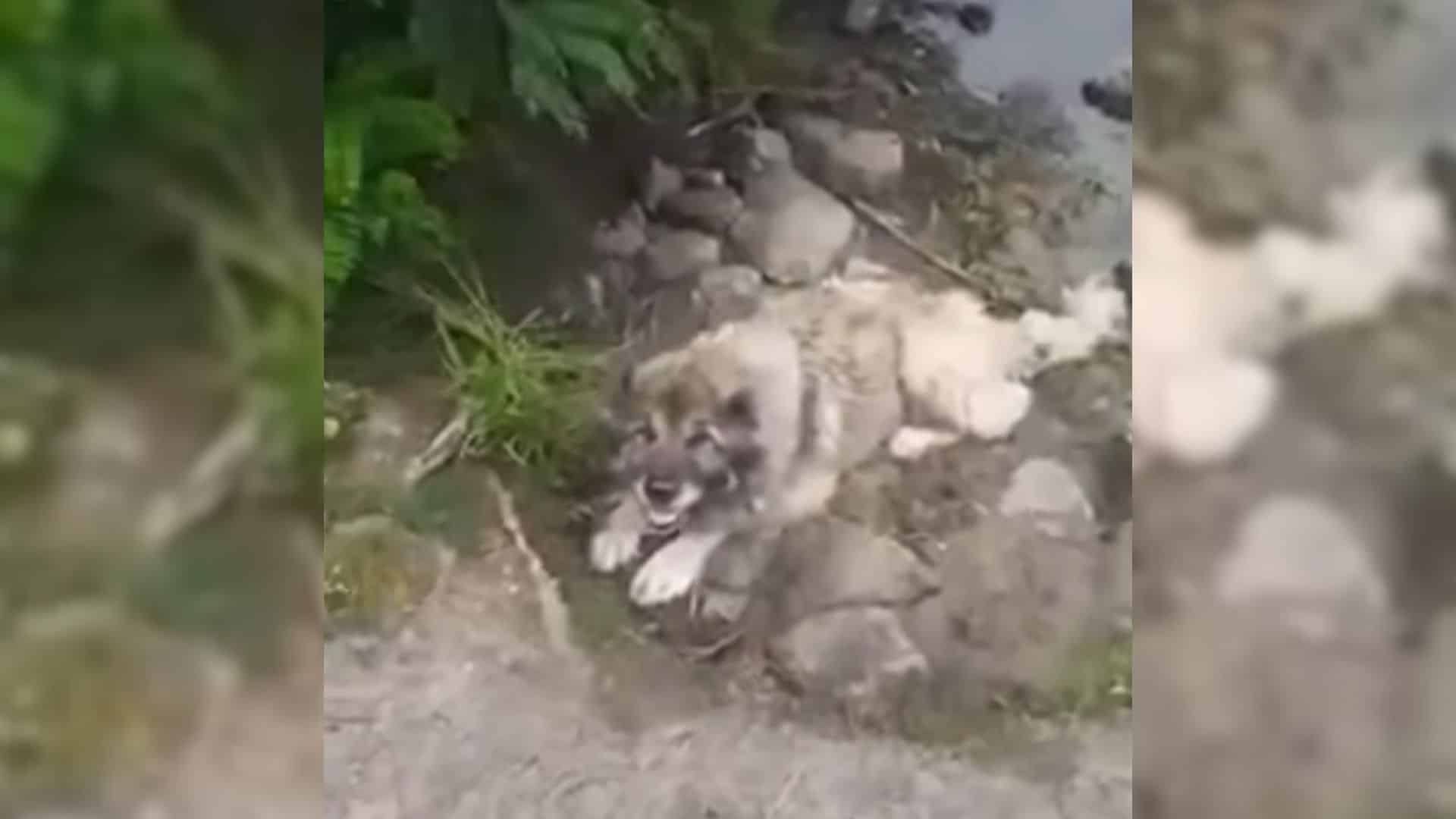 Yara's ordeal began when she was heartle...