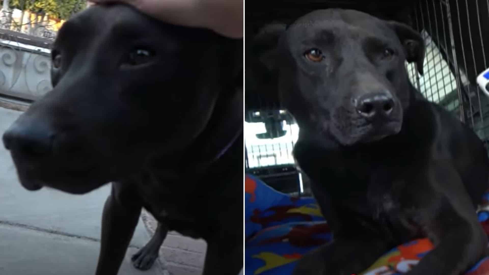 One such emotional moment occurs when re...