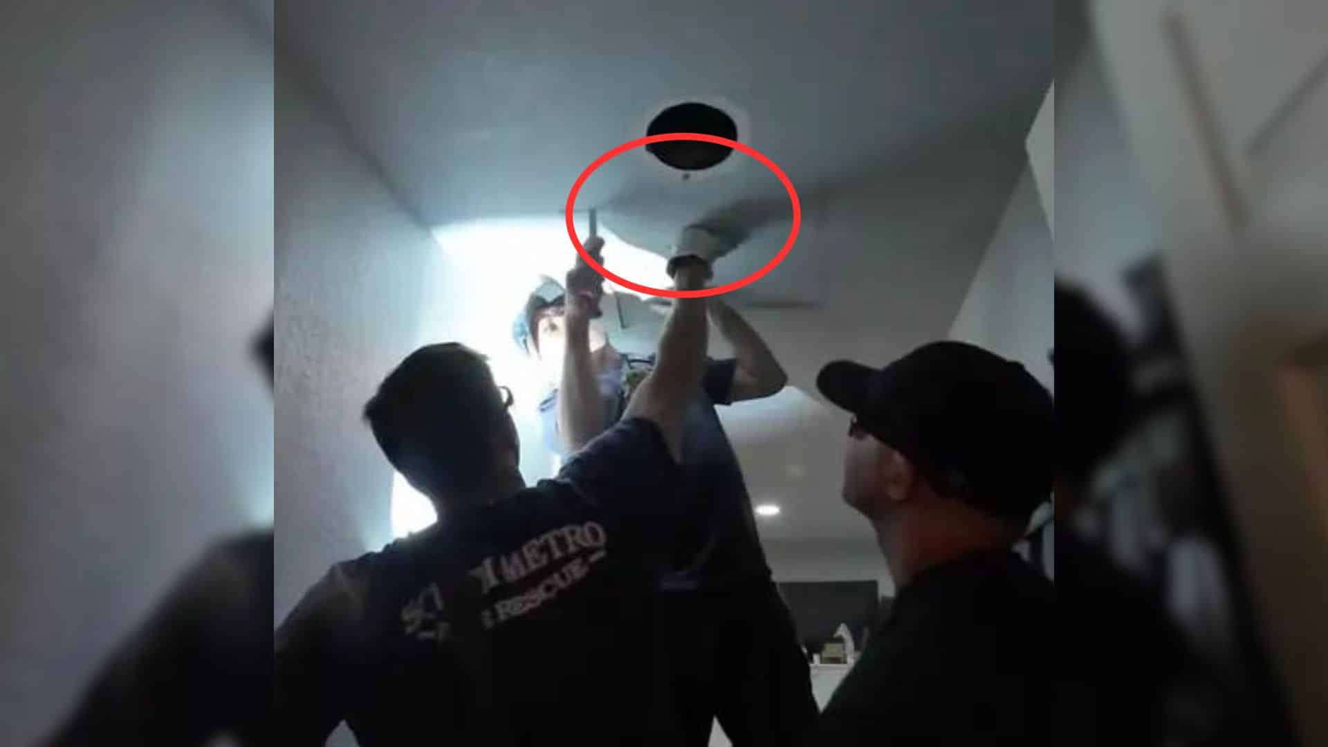 Monique, Archie’s owner, made every effo...