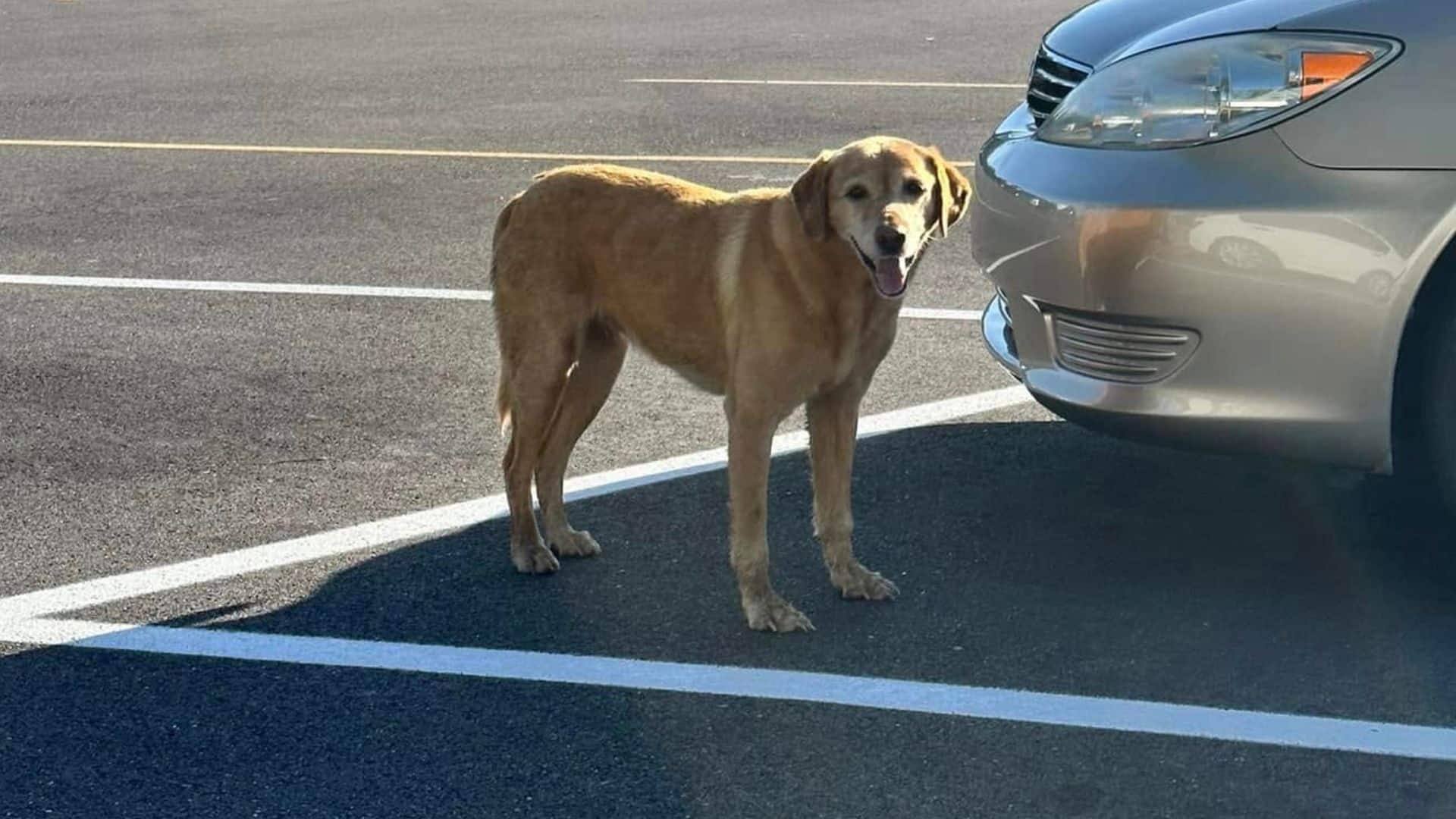 Lucy’s challenging journey took a hopefu...