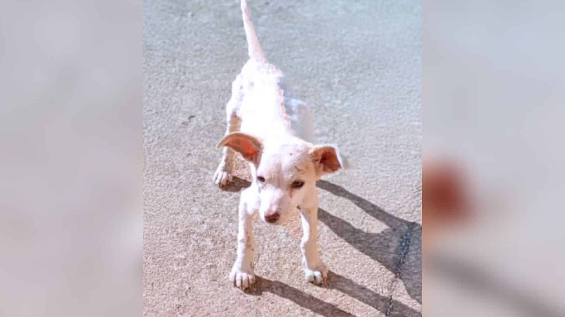 One case involved a severely undernouris...