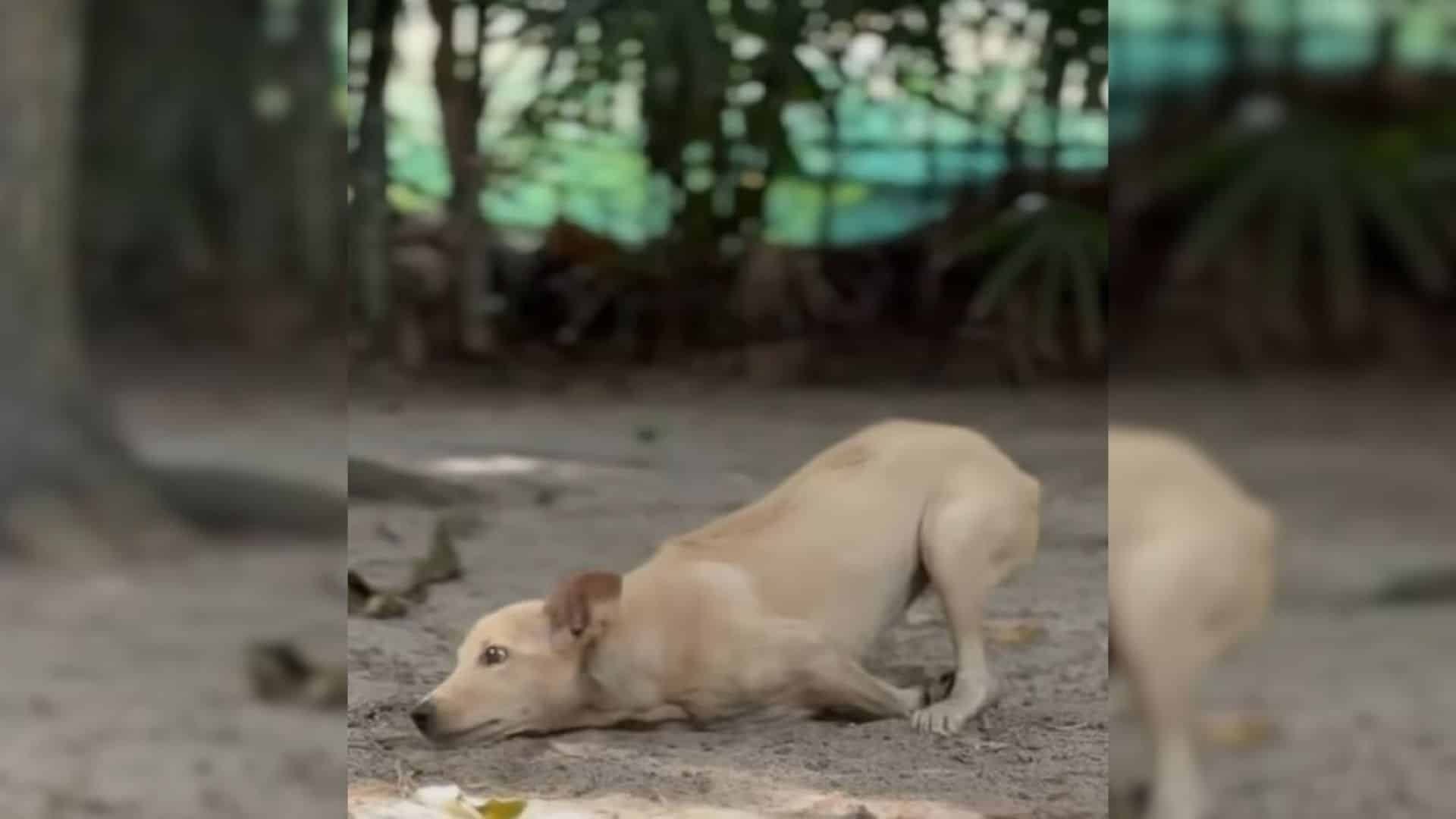 This particular tale began when a team o...