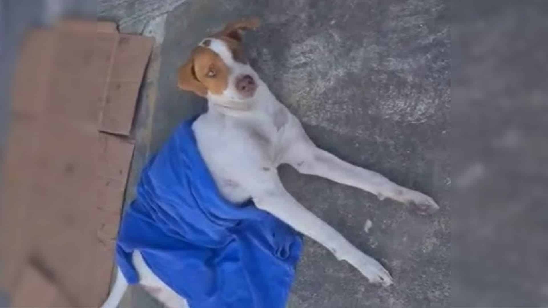 His lonely wait for assistance finally e...